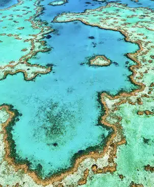 The Great Barrier Reef is the world's largest coral reef system, composed of over 2,900 individual reefs and 900 islands.